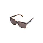 Am Eyewear A M Hanlon Ct 80 St Gr K Kadın Güneş Gözlüğü