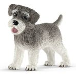 Amalfi 13892 Schleich - Minyatür Schnauzer +3 Yaş Kız Erkek Çocuk Oyuncak Eğitici Oyuncaklar - Çok Renkli