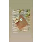ambalajciburada AMBALAJCIBURADA-12x20-HEDİYE-50 Kraft Hediye Paketi Ambalaj Poşeti Şamua Kese Kağıdı 50 Adet 12X20Cm
