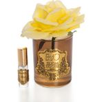 Amber Cam Gold Sarı Tek Gül Ev Parfumu