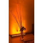 Amber Rengi Wallwasher LED Aydınlatma 10-20-30-35-50-67-100cm Duvar ve Ağaç Boyama (100cm (36w))