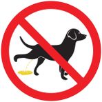 Ambiance Sticker Kendinden yapışkanlı uyarı levhası "Pipi" köpekler için, lamine, lamine, su geçirmez ve U dayanıklı – Köpeklerin işemesine izin vermeyin, yuvarlak – 30 cm çap