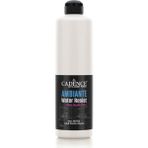 Ambiante Suya Dayanıklı Akrilik Boya Aw-04 Antik Beyaz 500ML + Katalizör 20GR
