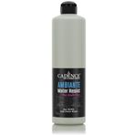 Ambıente Islak Zemin Boyası Aw-12 Küf Yeşili 500ml + Katalizör 20gr