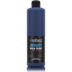 Ambıente Suya Day. Akr. Boya Aw-10 Okyanus 500ML + Katalizör 20GR