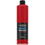 AMBIENTE SUYA DAY. AKR. BOYA AW-36 KIRMIZI 250ML + KATALİZÖR 10GR