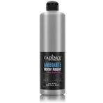 Ambıente Suya Day. Met. Akr. Boya Awm-06 Gumus 500Ml + Katalızor 20Gr