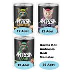 Ambrosia Karma Koli Kedi Mamaları 36 Adet 019