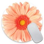Amcove Kişiselleştirilmiş Pembe Şeftali Papatya Mouse Pad Özelleştirilmiş Yuvarlak Kaymaz Kauçuk Mousepad Oyun Mouse Padleri 7,9 x 7,9 x 0,12 inç