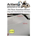 Amerikan Bristol Karton 50X70 Cm 10 Adet 220 Gr Bir Tarafi Parlak Bir Tarafi Mat Kagit Biristol Karton