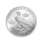 Amerikan Kartalı Gümüş Sikke Coin