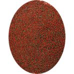 Amore Tropical Balık Yemi 1500 Gr, Lepistes, Canlı Doğuran, Melek, Tetra
