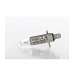 Ampul 12V H1 Eco