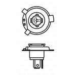 Ampul - Purelight - 12v - Hs1 H4 Motosiklet Tipi - 35/35w - Px43t 10 Adet