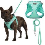 AMTOR Tasma Setiyle Köpek Koşumu, Çekmesiz Ayarlanabilir Yansıtıcı Adım Atma Yavrusu Koşumu, Ekstra Küçük/Küçük Orta Büyük Köpekler ve Kediler için Dolgulu Yelekli (Yeşil)