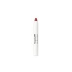 Amway Artistry Studio Bangkok Edition 2si 1 Arada Mat Dudak Kalemi