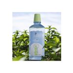 Amway Glister Multi-Action Mouthwash With Aloe 500 ml Ağız Bakım Suyu
