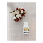 Amway Nutriway Vitamin D 60 Tablet