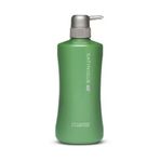 Amway Satınıque 750 ml 2'si 1 Arada Şampuan ve Saç Kremi