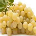 Anamur Naturel Tüplü Kokulu Sofralık Italia Üzüm Fidanı