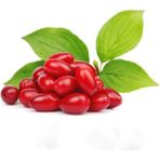 Anamur Naturel Tüplü Marmelatlık Anadolu Kızılcık Fidanı - Yok