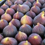 Anamur Naturel Tüplü Türk Lokumu Bursa Dürdane Siyah İnciri Fidanı