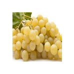 AnamurNaturel Tüplü Kokulu Sofralık Italia Üzüm Fidanı