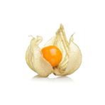 AnamurNaturel Yer Kirazı (physalis) Altın Çilek Fidesi (10 Adet)