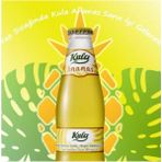 Ananas Aromalı Doğal Mineralli Maden Suyu 200 ml x 24 Cam Şişe (6 x 4’lü Paket)