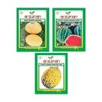 ANANAS KAVUN - CRİMSON SWEET KARPUZ - KIRKAĞAÇ 589 KAVUN 3'LÜ TOHUM SETİ