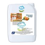 Anatolia Pool Sauna Buhar Esansı Mango 5 Lt. ( Sauna Essence Mango )