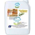 Anatolia Pool Sauna Buhar Esansı Okaliptus 5 Lt. ( Sauna Essence Eucalyptus )