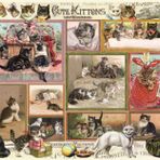 Anatolian 3611 Sevimli Kediler - Komik Köpekler 2x500 Parça Puzzle