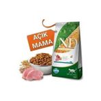 Ancestral Graın (Düşük Tahıllı) Kuzu, Yaban Mersini Kısırlaştırılmış Yetişkin 1 kg Kilitli Ambalaj