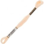 Anchor Muline 1009 Nakış İpliği