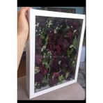Anı Çerçevesi 34X25 Hareketli Cam - Beyaz - 34 X 25