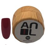 Anil Professional Cosmetics Paint Jel 50 10 ml Ahşap Kutu Kalıcı Oje