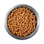Animal World Sterilised Somonlu Kısırlaştırılmış 1 kg Açık Kedi Mama