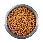 Animal World Tavuk Balık Karidesli 1 kg Açık Yavru kedi Maması