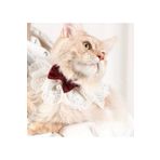 Animalovers ŞIK ÖRGÜ KEDİ TASMASI PAPYON VE DANTEL ÖNLÜKLE AYARLANABİLİR BOYUN TAKISI