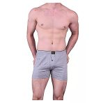 Anıt 1146 Düğmeli 3'lü Gri Erkek Boxer