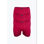 Anıt Erkek Ince Belli Bambu Likralı Boxer 1273 -12 Adet - Bordo - 2XL