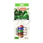 Anka Art Mikro Yağlı Boya 12ml 12li