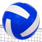 Anka Voleybol Topu (Profesyonel Boy)