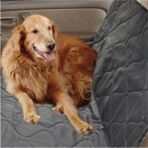 Ankaflex Araç Içi Arka Koltuk Sıvı Geçirmez Evcil Hayvan (Kedi/köpek) Kılıfı, Koltuk Örtüsü - Siyah