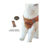 Ankaflex Kedi Göğüs Tasması Kedi Gezdirme Tasması Kediler Için Özel Üretim Yeni Nesil (TASMA DAHİL)