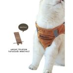 Ankaflex Kedi Göğüs Tasması Kedi Gezdirme Tasması Kediler Için - Taba