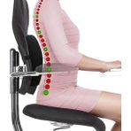 Ankaflex Medikal Ortopedik Oto Araç Koltuk Bel Destek Yastığı Çalışma Koltuğu Sırt Minderi