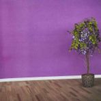 Ankawall Picasso Boyanabilir Duvar Kağıdı 742070 (26.5m2) - Beyaz - 105 x 2500 cm