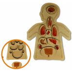 Ankebut 30756 Renkli Organlar Yapboz Puzzle
